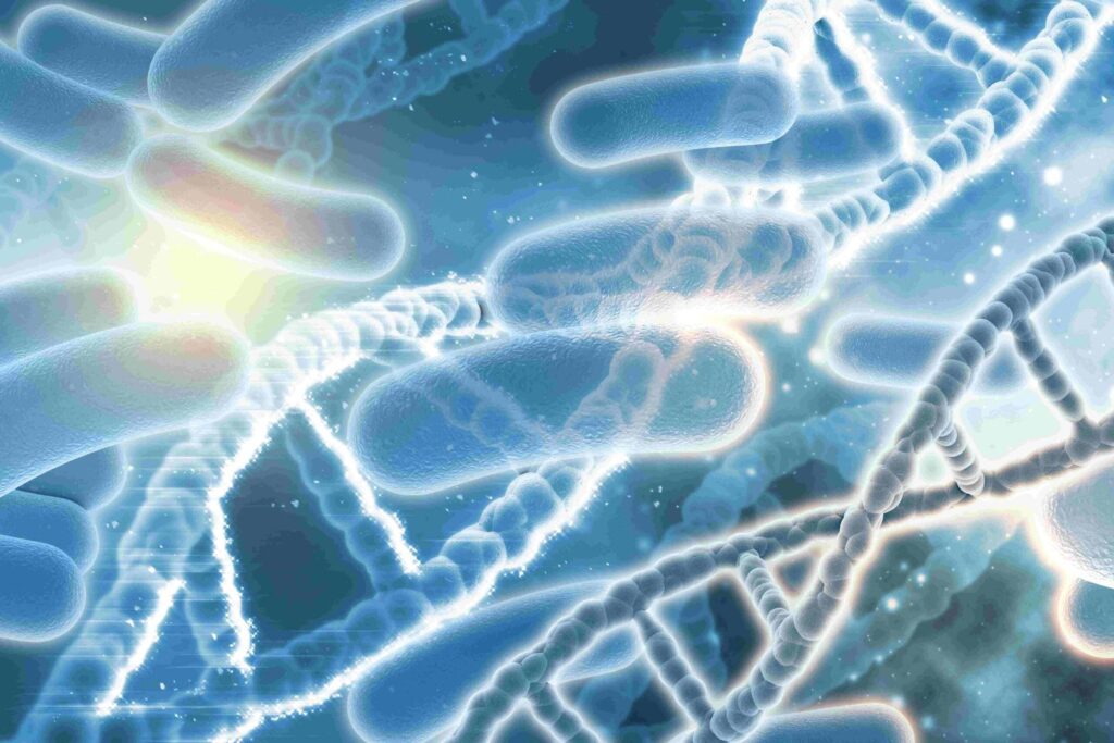 dna-bacterias-compressed