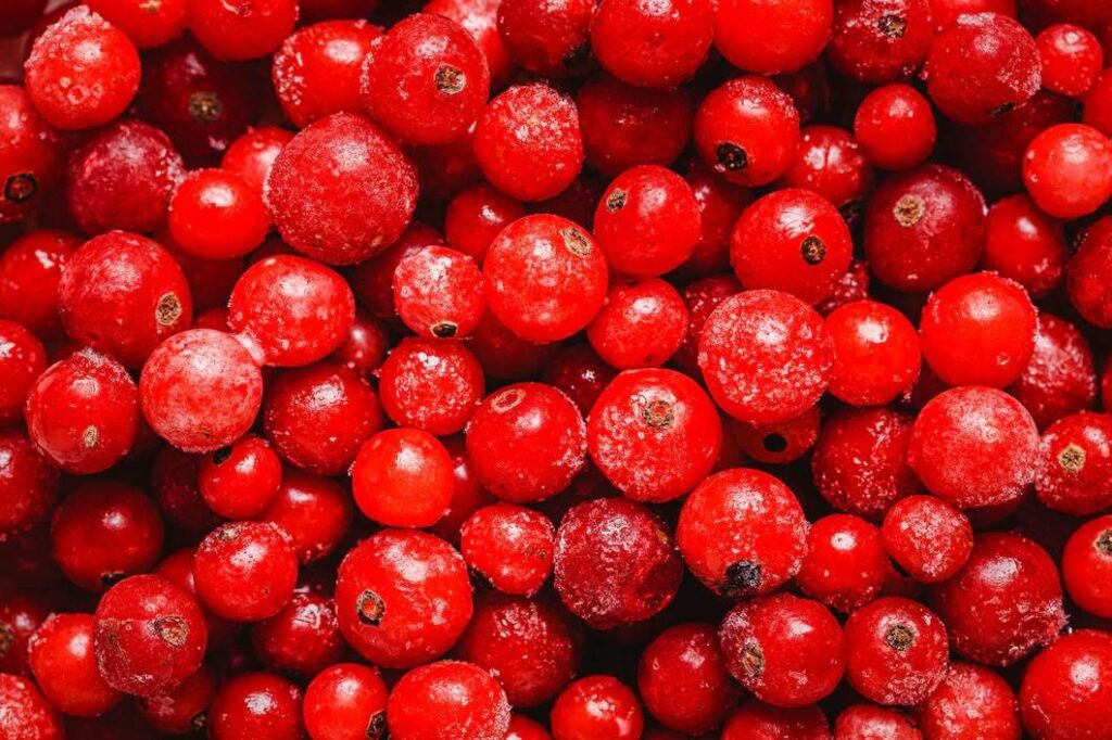 Probiotics and cranberry supplements