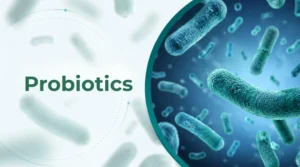 Close-up illustration of probiotic bacteria strains representing strain-specific benefits